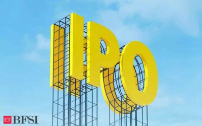 India’s IPO market is busy. It’s also broken, ET BFSI