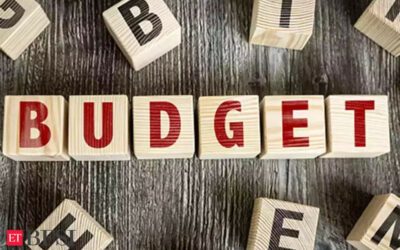 Interim Budget may see measures to boost consumption demand, push agri economy, ET BFSI