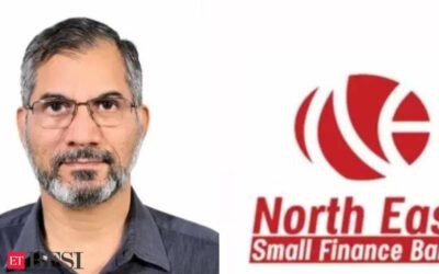 North East Small Finance Bank appoints former RBI CGM Shrimohan Yadav as Independent Director, ET BFSI