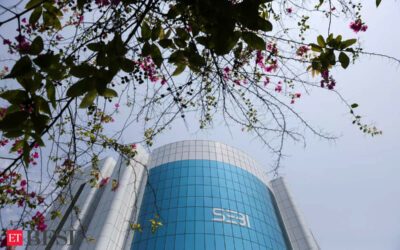 Sebi gives FPIs 7 months to liquidate holdings if investor data not disclosed: Report, ET BFSI