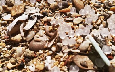 Spain’s Galician coast inundated by millions of tiny plastic ‘nurdles’