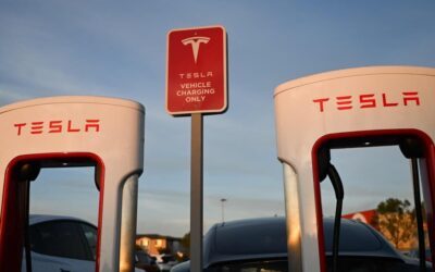 Tesla’s ‘train-wreck’ earnings call has even the bulls begging execs to grow up