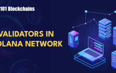 The Role of Validators in the Solana Network