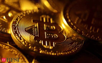 US bitcoin ETFs raise questions over broader financial system risks, ET BFSI