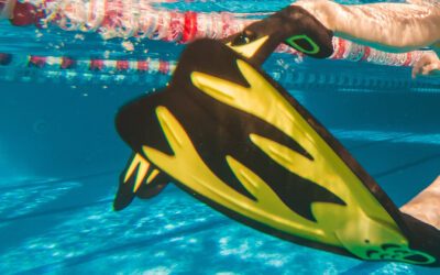 What Do Swimming Fins Have to Do With Money?