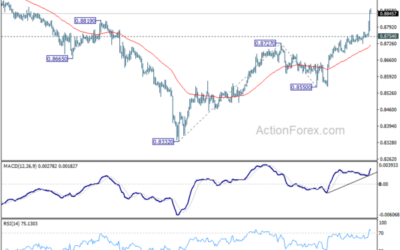 USD/CHF Mid-Day Outlook – Action Forex