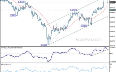 USD/CHF Mid-Day Outlook – Action Forex