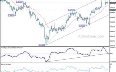 USD/CHF Weekly Outlook – Action Forex