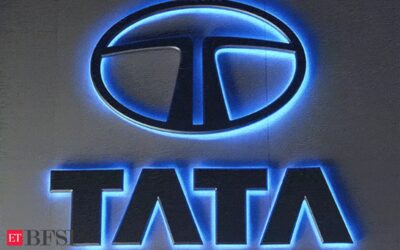At USD 365 bn, Tata Group grows bigger in size than entire Pakistan economy, ET BFSI