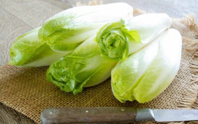 How To Use Endive In Your Cooking