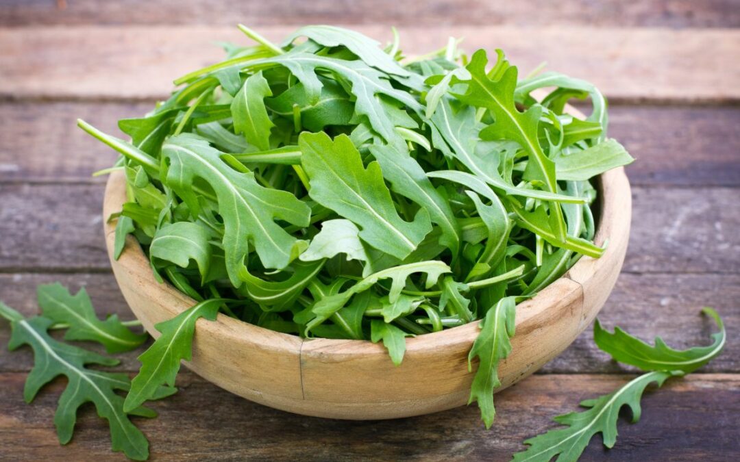 How to Store Arugula – Better Living