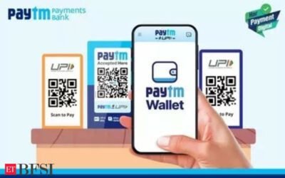 Paytm app not impacted by directives, is free to partner with other banks, says RBI, ET BFSI