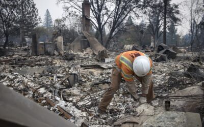 Public utilities fall short on wildfire risk mitigation