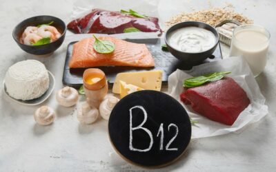 Vitamin B12 Rich Foods: The Ultimate Guide