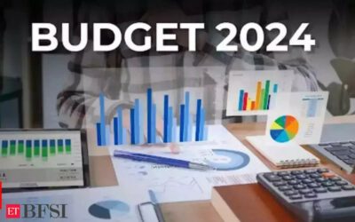 What is Vote on Account and how is it different from Interim Budget?, ET BFSI