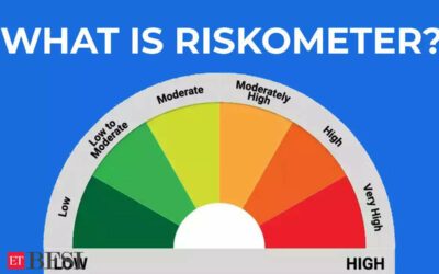 Why mutual fund investors must track the riskometer for an MF scheme, ET BFSI