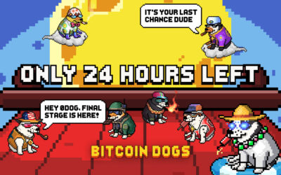 Bitcoin Dogs Raises Over $11.5 Million and Enters Final 24 Hours – Blockchain News, Opinion, TV and Jobs