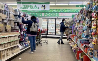 Customers still piling into Dollar Tree and Dollar General stores, research says