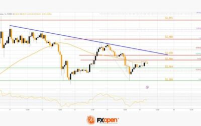 Gold Price Rally Takes Break, Crude Oil Price Surges