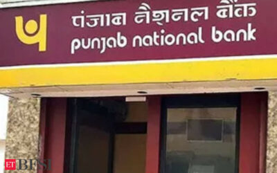PNB likely to raise up to Rs 2000 crore through AT-1 bonds this week, ET BFSI