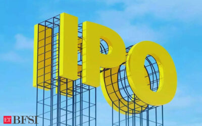 Rs 70,000 crore pipeline awaits IPO market in FY25, featuring some household names, ET BFSI