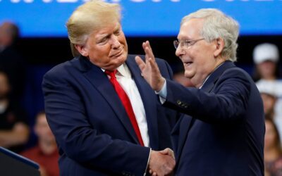 Senate GOP boss Mitch McConnell endorses Trump for president