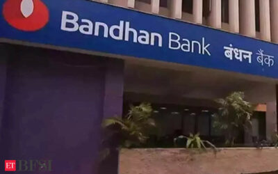 Bandhan Bank posts 18% loan growth in FY24, BFSI News, ET BFSI