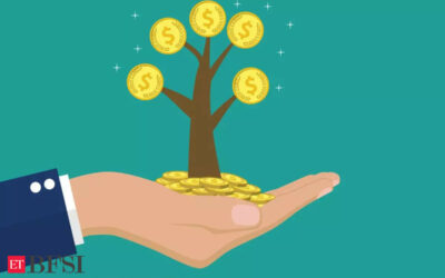 Best focused mutual funds to invest in April 2024, BFSI News, ET BFSI