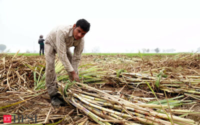 India may devote more sugar to ethanol in blow to export hopes, ET BFSI