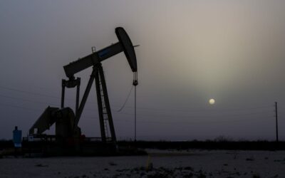 Oil prices on track to fall for fourth straight day as demand disappoints