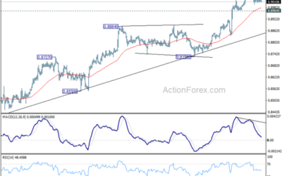 USD/CHF Daily Outlook – Action Forex