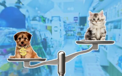 Animal shelters ‘can’t keep up with cat adoptions’ as today’s economy tips the scales on cats vs. dogs