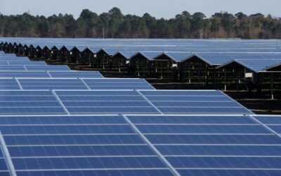 Brookfield leading talks to buy renewable energy provider for $6.5 billion