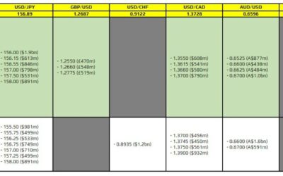 FX option expiries for 30 May 10am New York cut