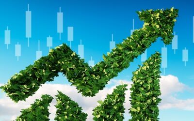 INFINOX Embraces Sustainability in the Financial Industry