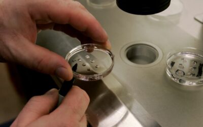 IVF treatment demand drops after Alabama ruling, and Progyny’s stock tumbles