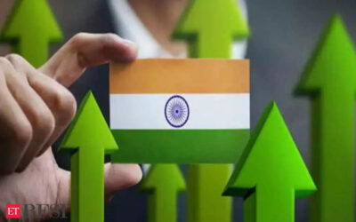 India to grow 6.6 % in next two years, driven by public sector demand: OECD, ET BFSI