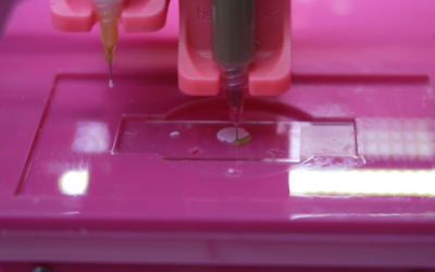 L’Oreal says it’s working on a form of bioprinted skin that can ‘feel’