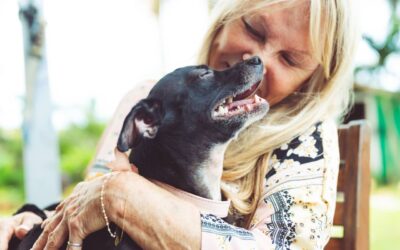 Losing a pet is heartbreaking. These emotional-support humans can help.