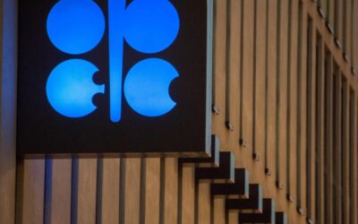 Oil prices steady as traders await OPEC+ decision on production cuts