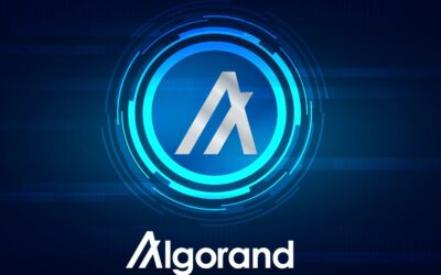 Post-Submission Steps for Algorand (ALGO) Change the Game Hackathon