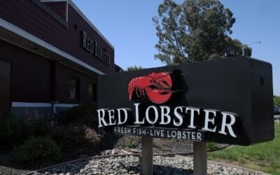 What killed Red Lobster? Endless shrimp was just one factor, says its new CEO.