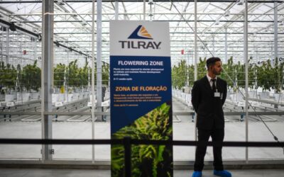 Tilray to sell a large block of stock as it preps for cannabis reclassification