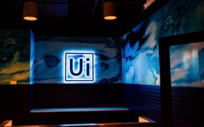 Why UiPath shares are cratering toward their worst day on record