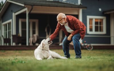 ‘I feel ashamed’: A real-estate agent says my childhood home smells of dogs, which will put buyers off. Is this a ploy to lower the price?