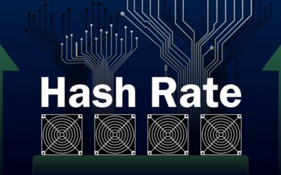 Bitfarms (BITF) Reports Significant Hashrate Increase and Operational Expansion