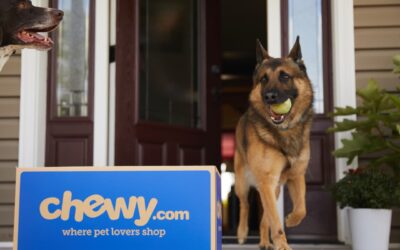 Chewy’s stock slides one day after Roaring Kitty’s cryptic dog post