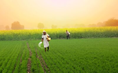 Farm loan waivers to negatively impact banks’ asset quality: Macquarie, ET BFSI
