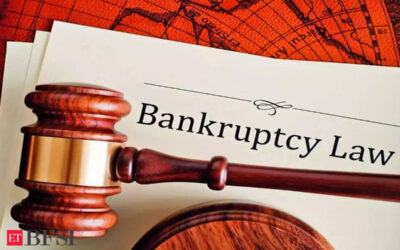 IBBI proposes simplified compliance framework for insolvency resolution process, ET BFSI