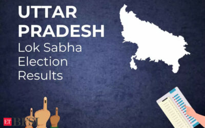 INDIA bloc gives up lead, NDA back at the front in Uttar Pradesh, early trends show, ET BFSI